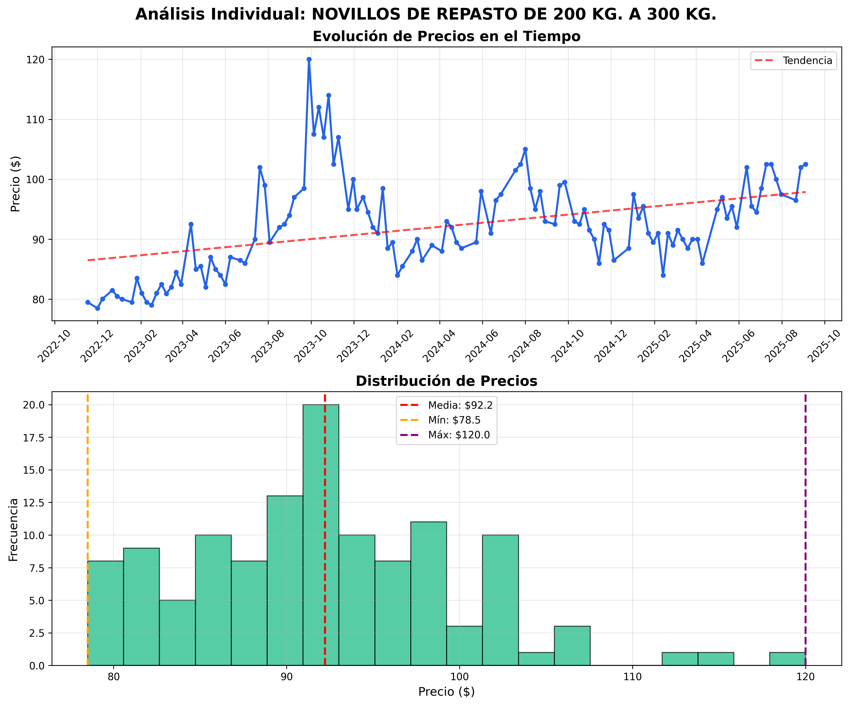 individual_novillos_de_repasto_de_200_kg_a_300_kg