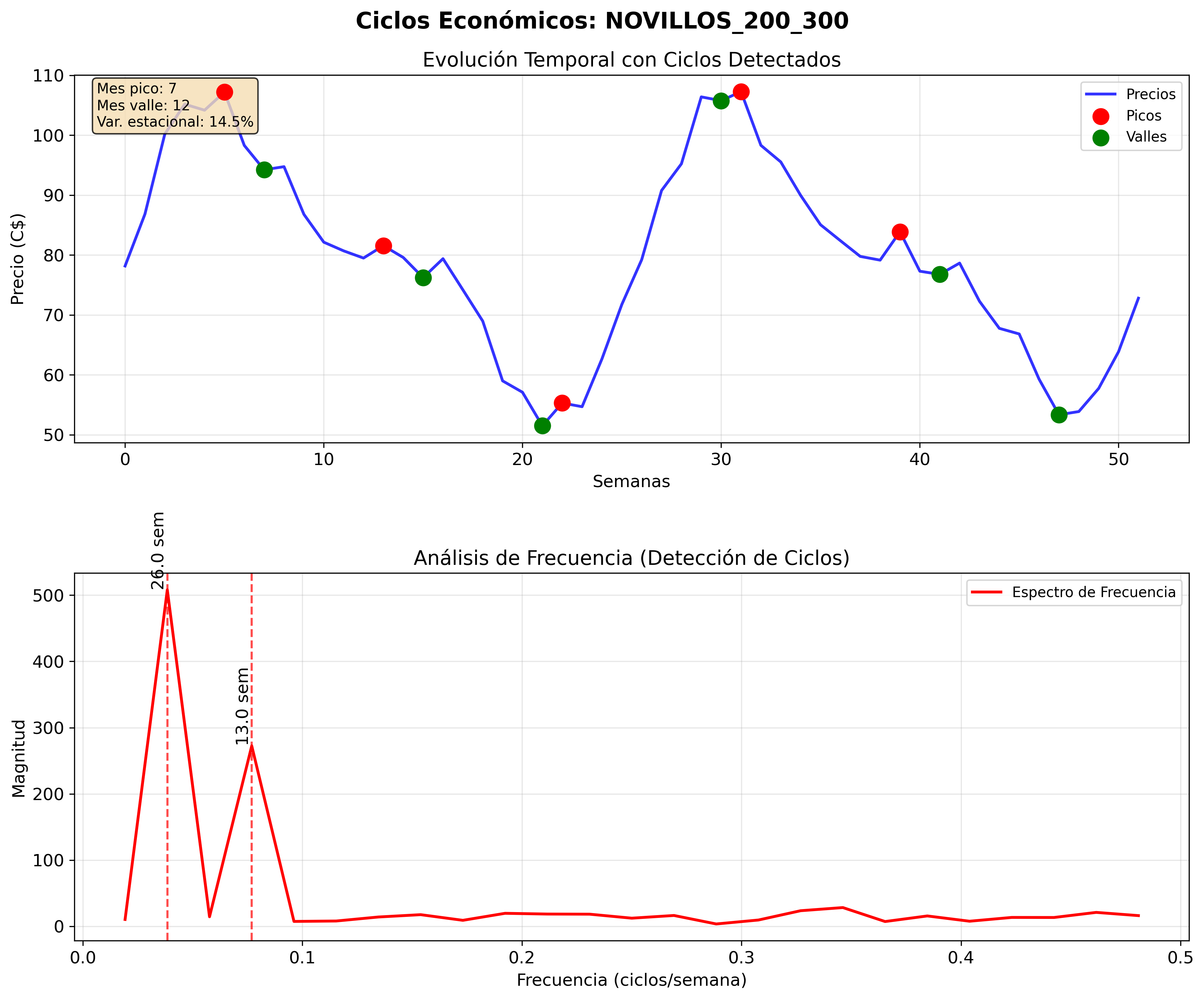 Ciclos Económicos - Novillos 200 300