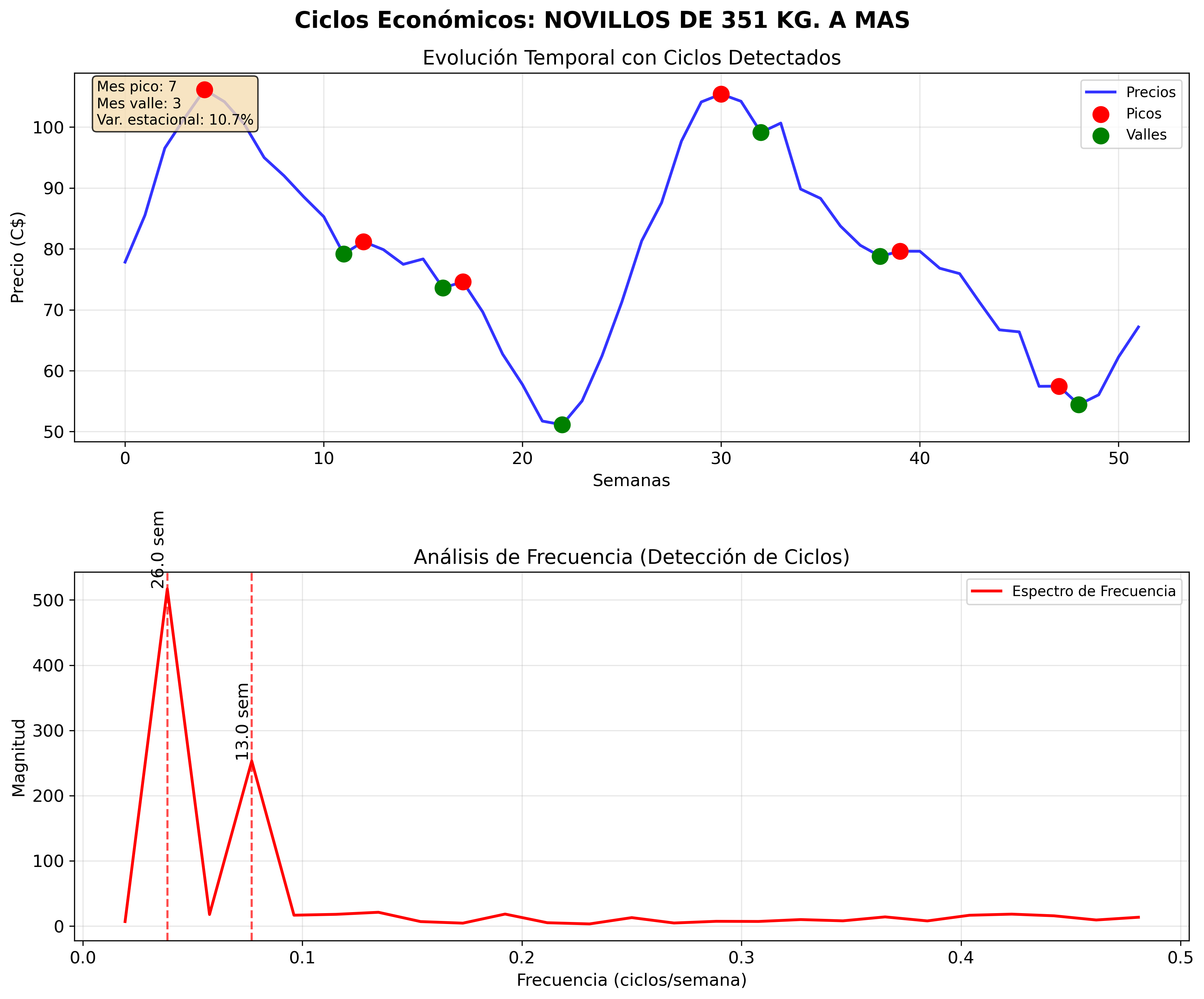 ciclos_economicos_novillos_de_351_kg_a_mas