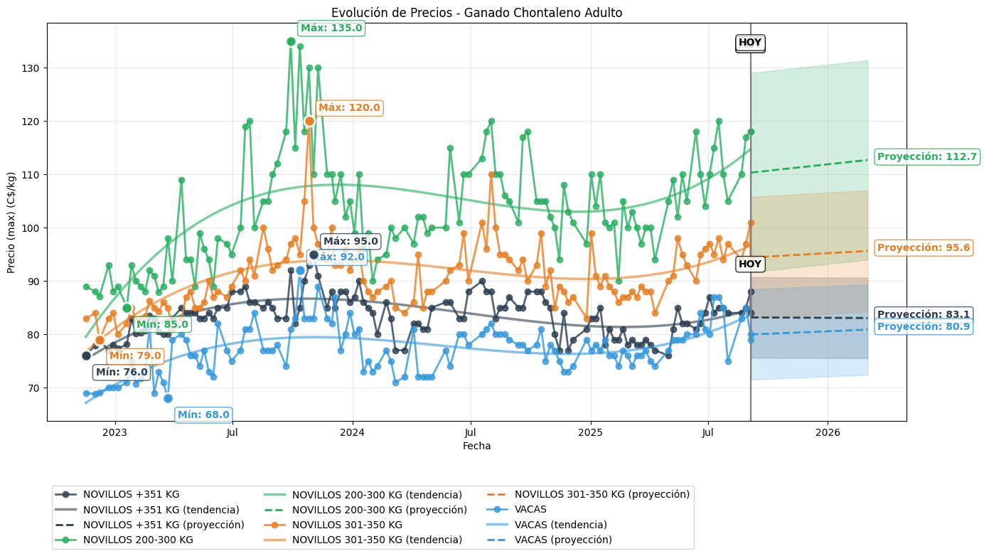 evolucion_chontalena_adulto